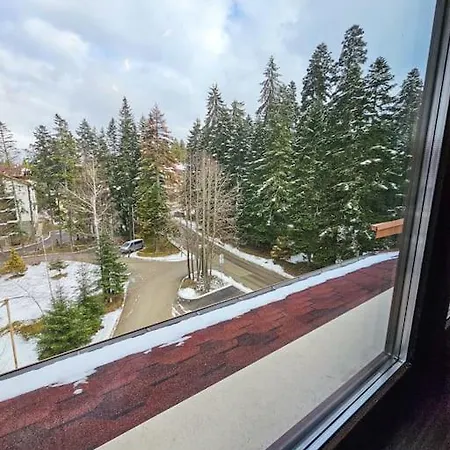 Apartment Modern A61 *