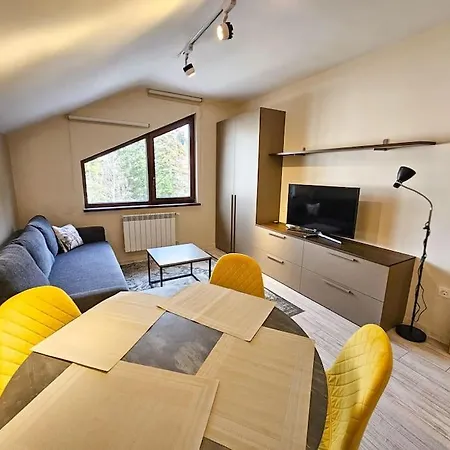 Apartment Modern A61