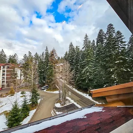 Modern A61 Borovets